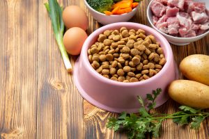 The Dog Stop® - What Dog Food To Pick