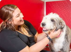A dog and owner smile after boarding at The Dog Stop®