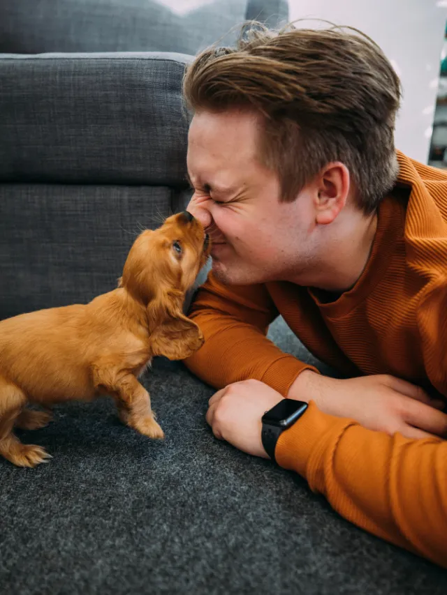 How To Bond With Your Puppy